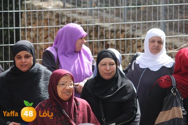 re7la7efa483 (34).JPG